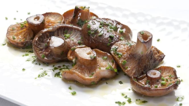 Tapies - Hotel Castell Ciutat - 6