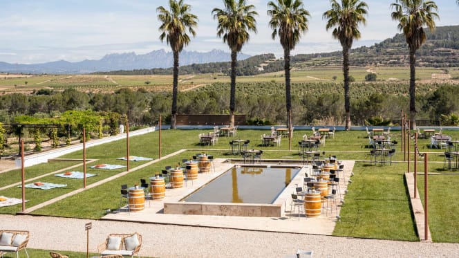 Font de la Canya - 0