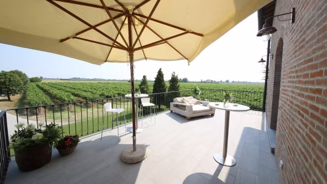 Foresteria Cavicchioli - 6