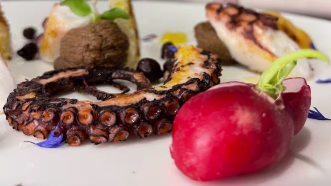 Marcello Experience Parma - 8