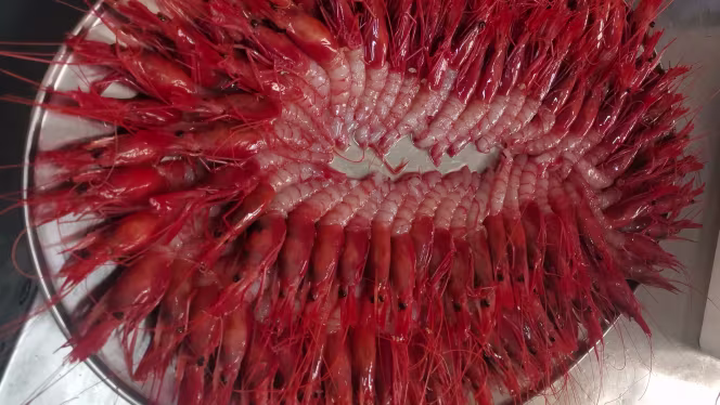 Trattoria Da Dario - 2