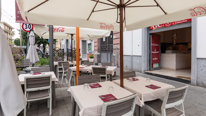 Spicchio Contemporaneo 2.0 - 8