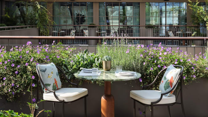 Neue Hoheit Restaurant & Bar - 9