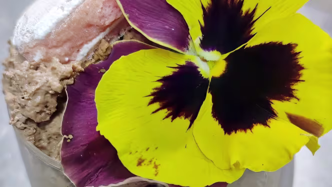 Hayden Bar - Restaurant - 2