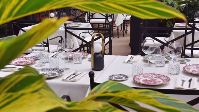 El Patio del Pali - 4