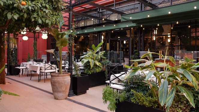 El Patio del Pali - 9