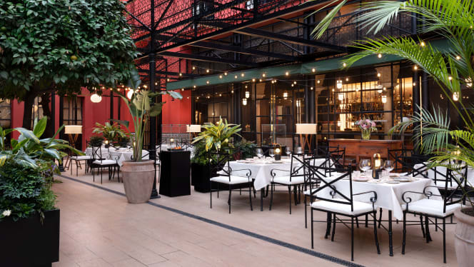 El Patio del Pali - 7