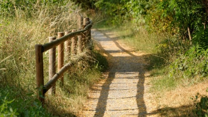 Schubart Stube - Asperg - 5