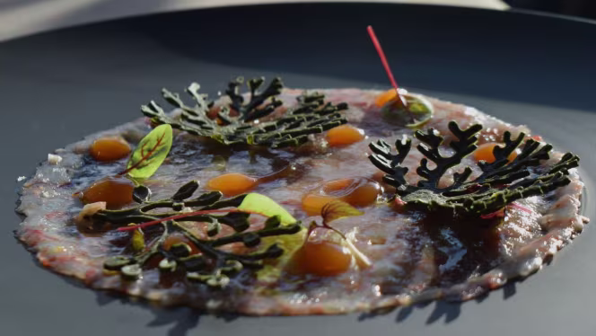 Terrazza 13 - Segrate - 4