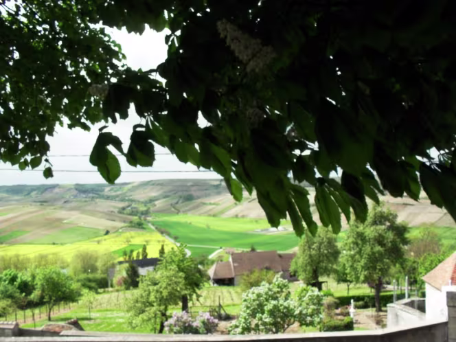 Hotel du Rempart - 1