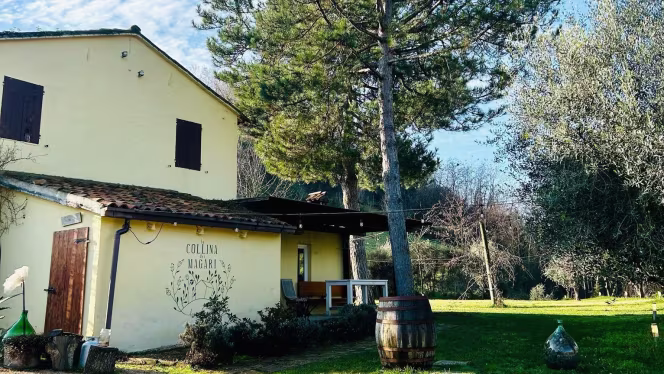 La Collina Dei Magari - 3