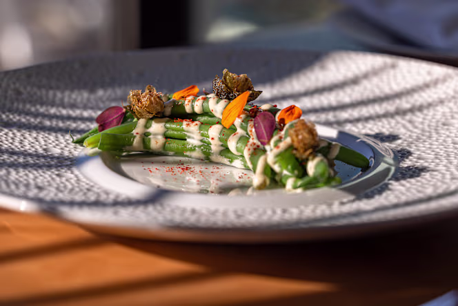 L'Ecume - Arcachon - 9