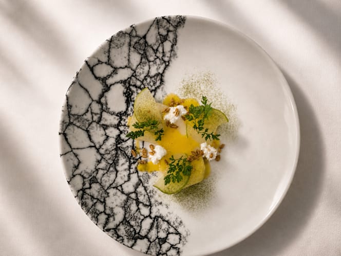 Plates by Oxalis - 3