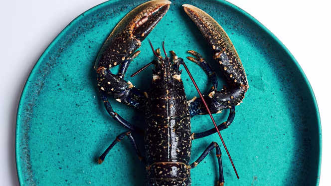 Nunes Real Marisqueira - 5