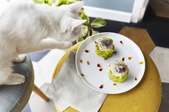 Romeow Cat Bistrot - 7