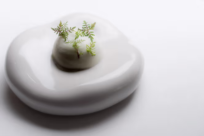 Bistro V - Restaurant - Paris