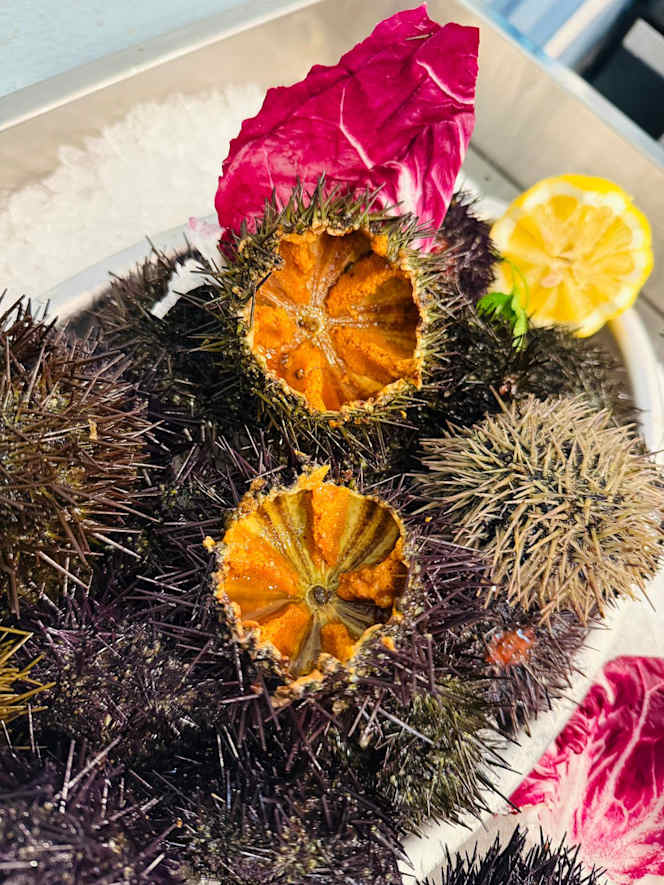 Gastropescheria Cavalluccio Marino - 4