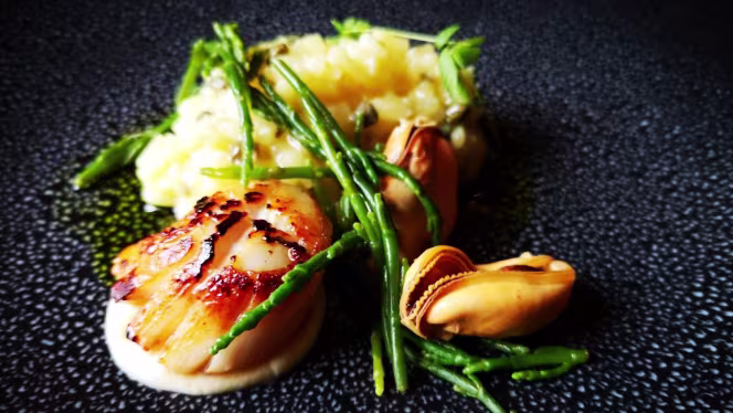 The Wimborne Pig - 4