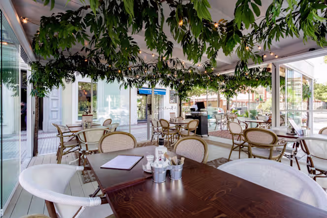 La Bientirada Vergara - 0