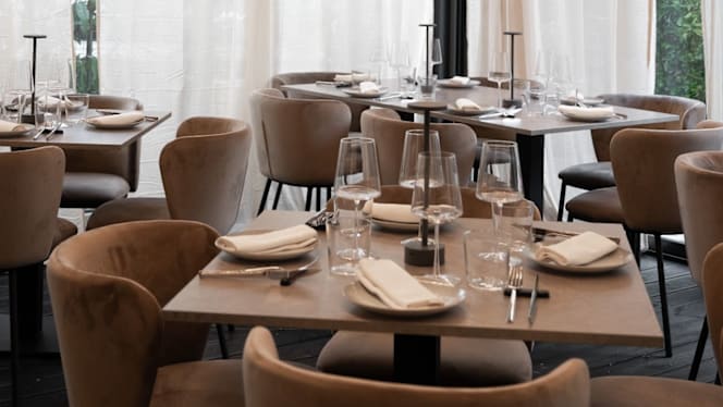 Guido Vizio Italiano - 2