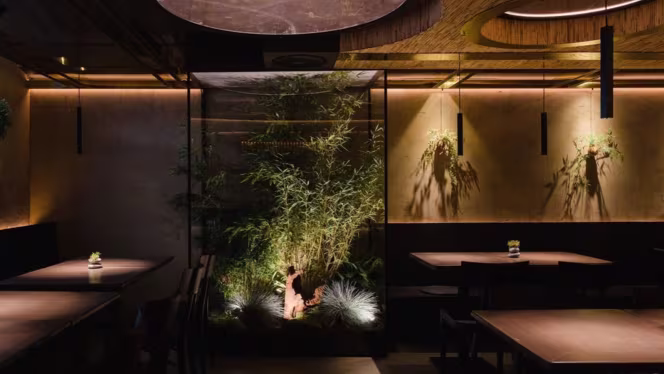 Citta Vegan Izakaya - 6