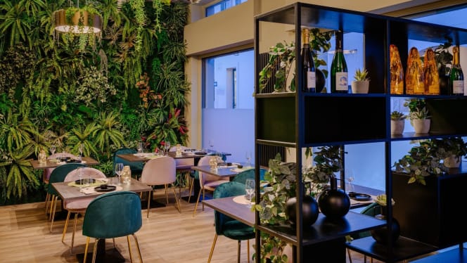 Makai Uramakeria - Meda - 5