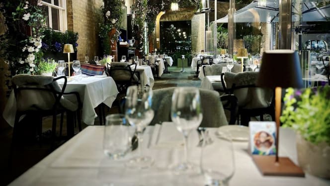 Manicomio - Chelsea - 2