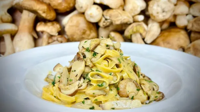 Manicomio - Chelsea - 0