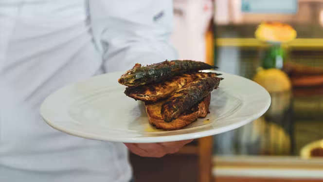 Horta dos Brunos - 4