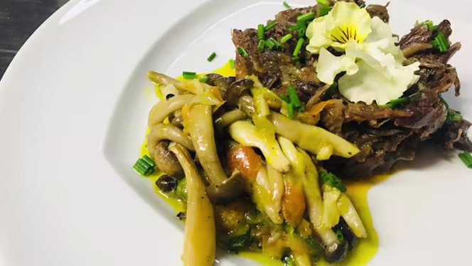 Horta dos Brunos - 2