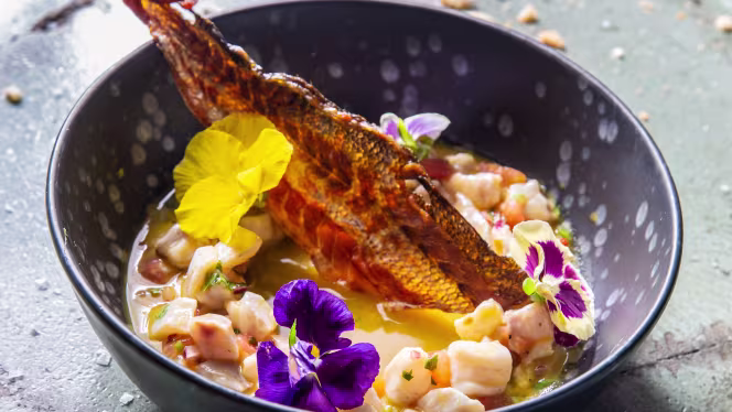 Marina Bay Palma - 8