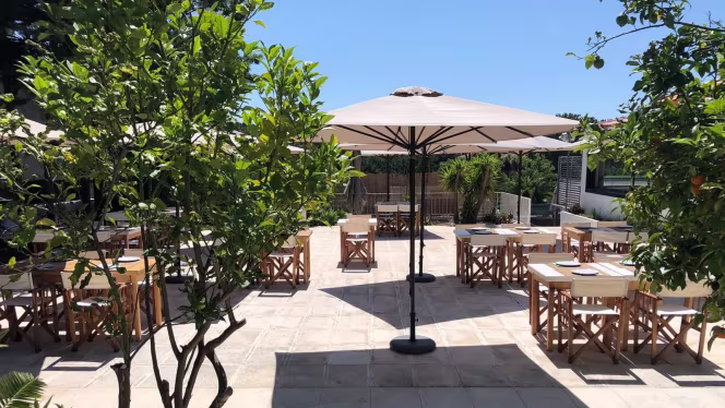 Villa Meco Restaurant & Sushi Bar - 7