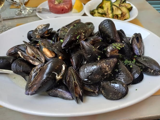 Sprishhh - Spritz and Fish - 9