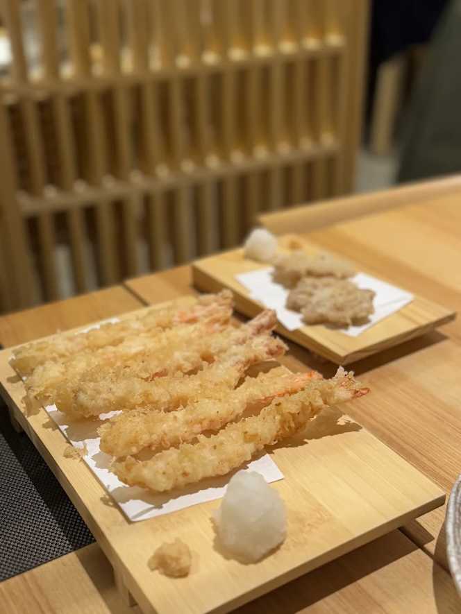Tempurateca - 5