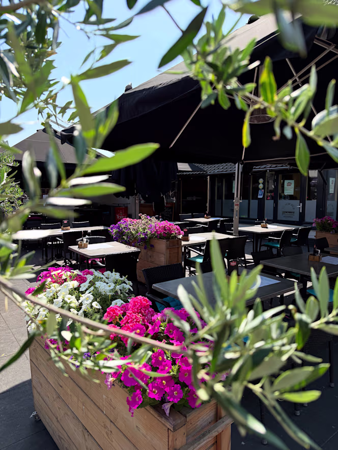 Dutch Pub de Zaak - 0