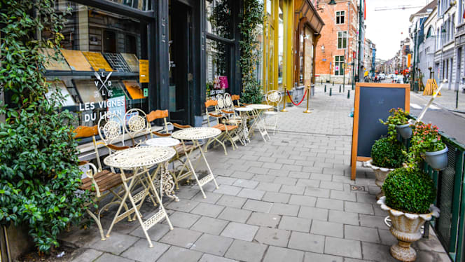 Les Vignes du Liban - 8