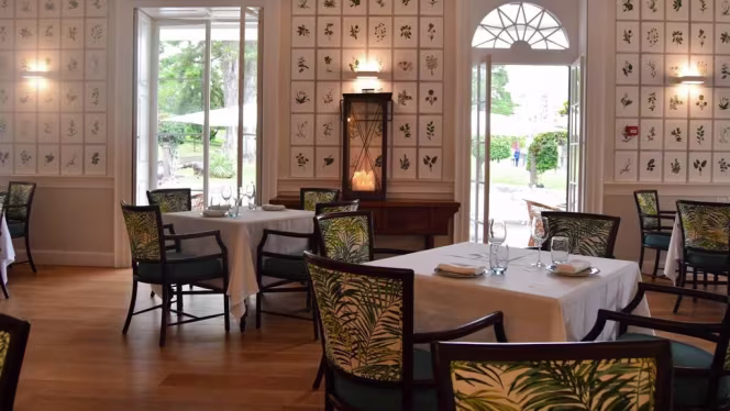 Jard.in Magnólia - 8