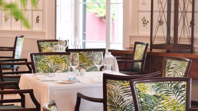 Jard.in Magnólia - 5