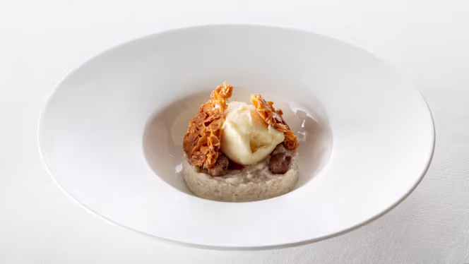 Castello di Leonina - Adults only - 4
