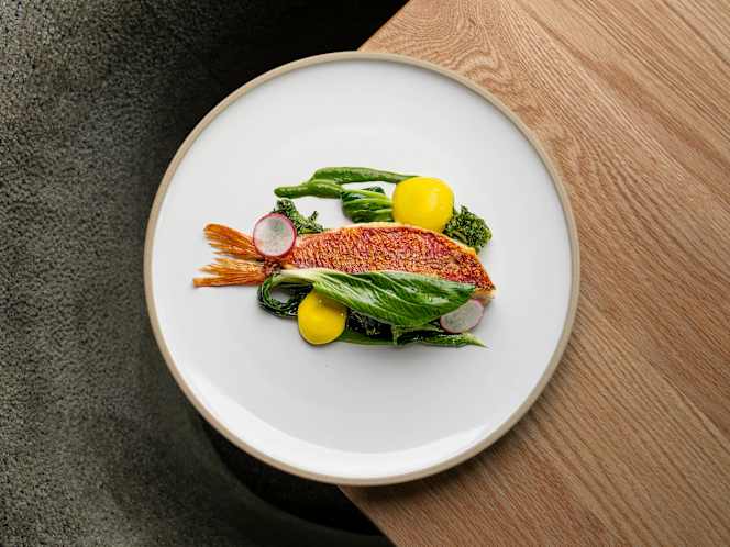 Osteria Condal - 6
