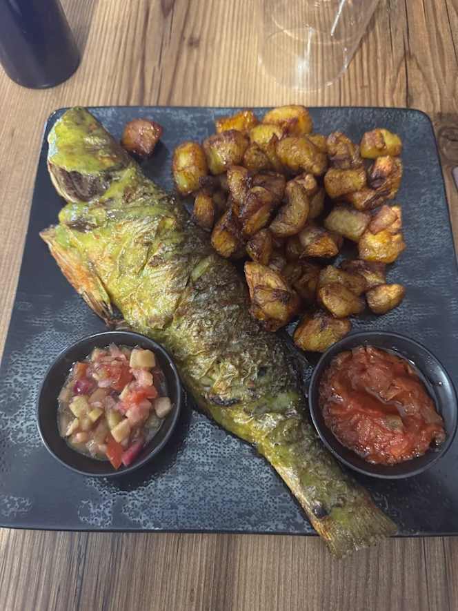 African Evasion Saint Maur - 3