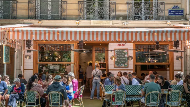 Loulou - Saint Germain - 0