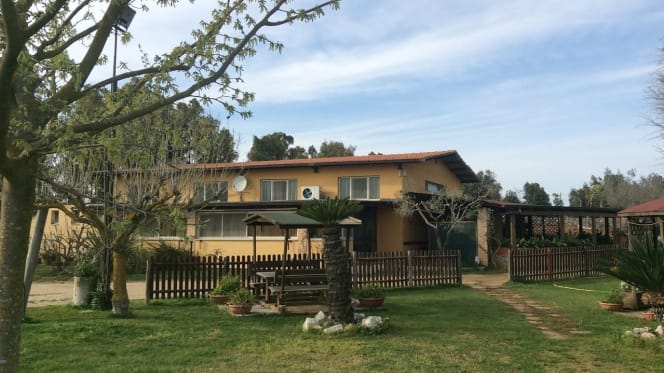 La Selva Ristoro - 0