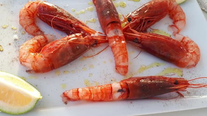 Zefiro Solarium & Lounge Bar - 4