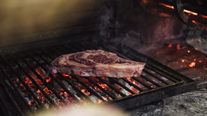 Habitat Terra e Fogo - 4