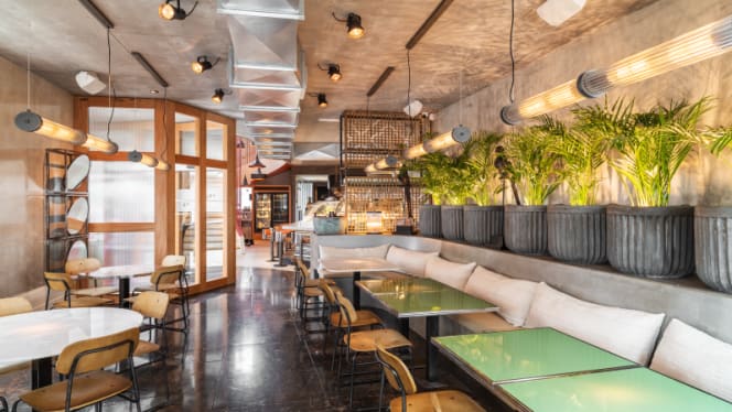 Habitat Terra e Fogo - 6