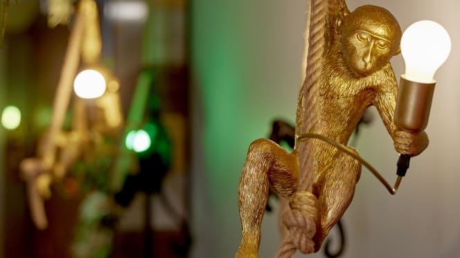 Adrak Indian Cuisine - 7