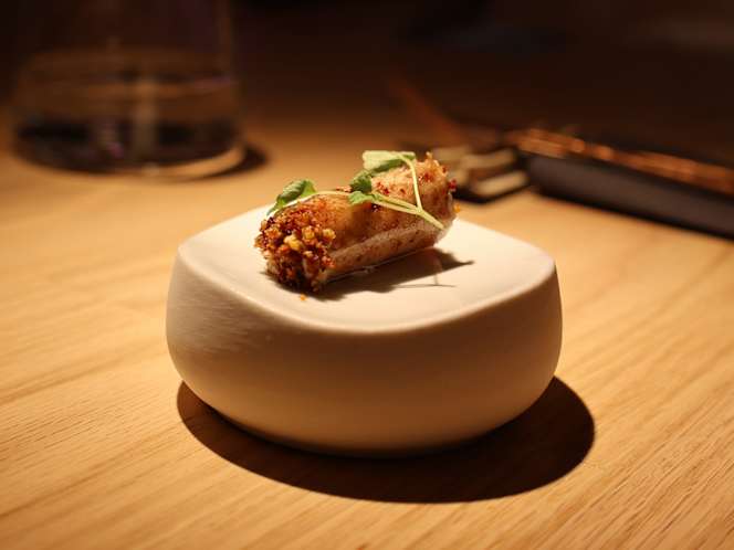 Fundacion okelan - 5