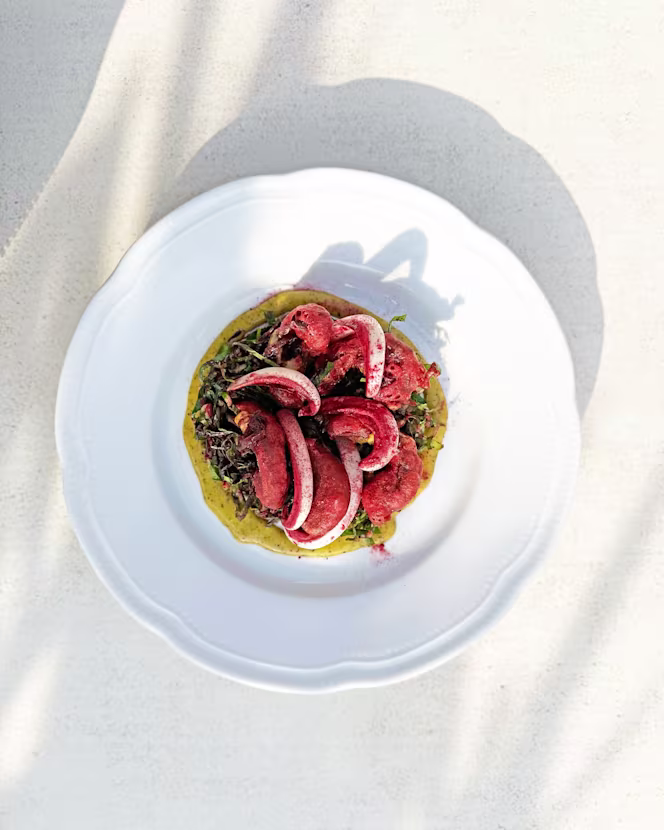 Lympha - San Rocco - 2