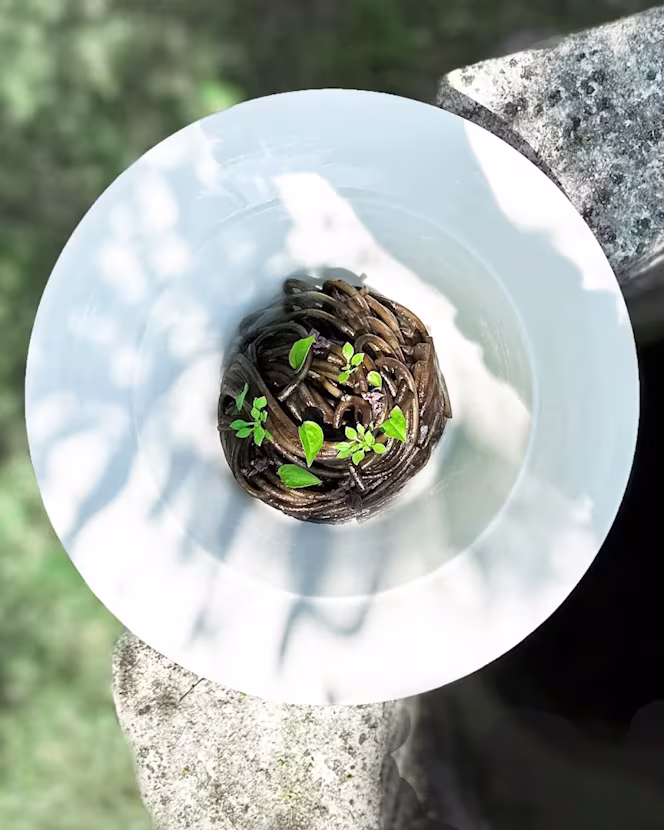 Lympha - San Rocco - 0